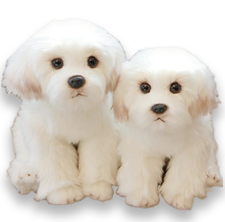 Realistic Fluffy Bichon Frise Puppies Plush Toy